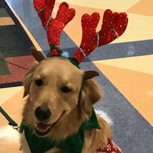 Meet your Posher, Kristin